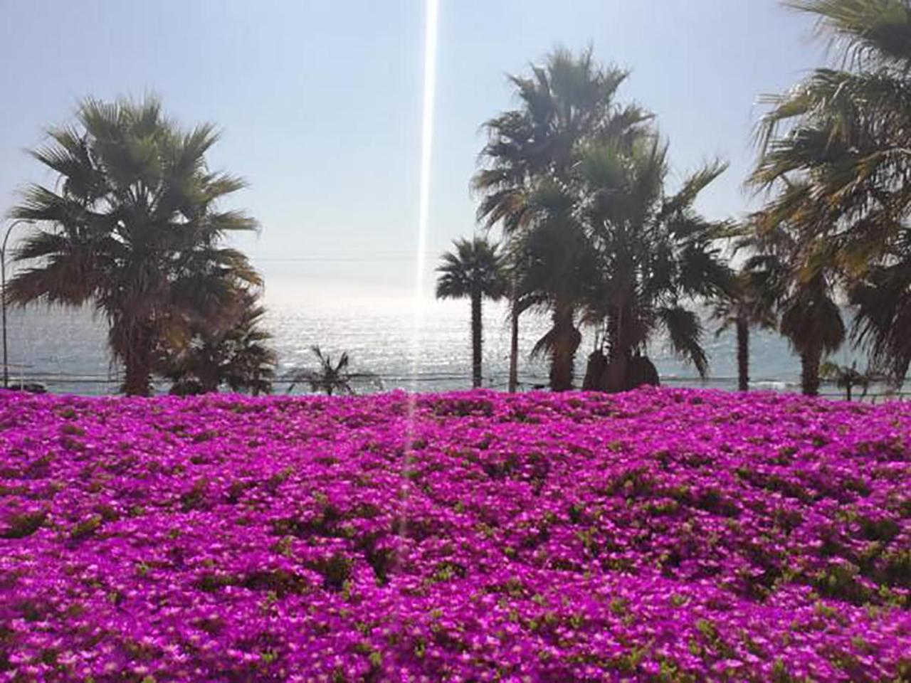 Playa Paraiso Resort Concón Kültér fotó